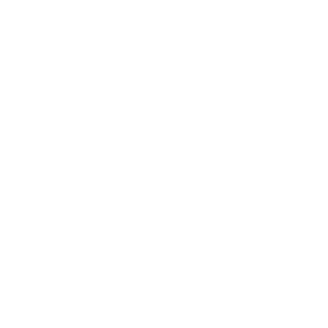 Brand logo 2
